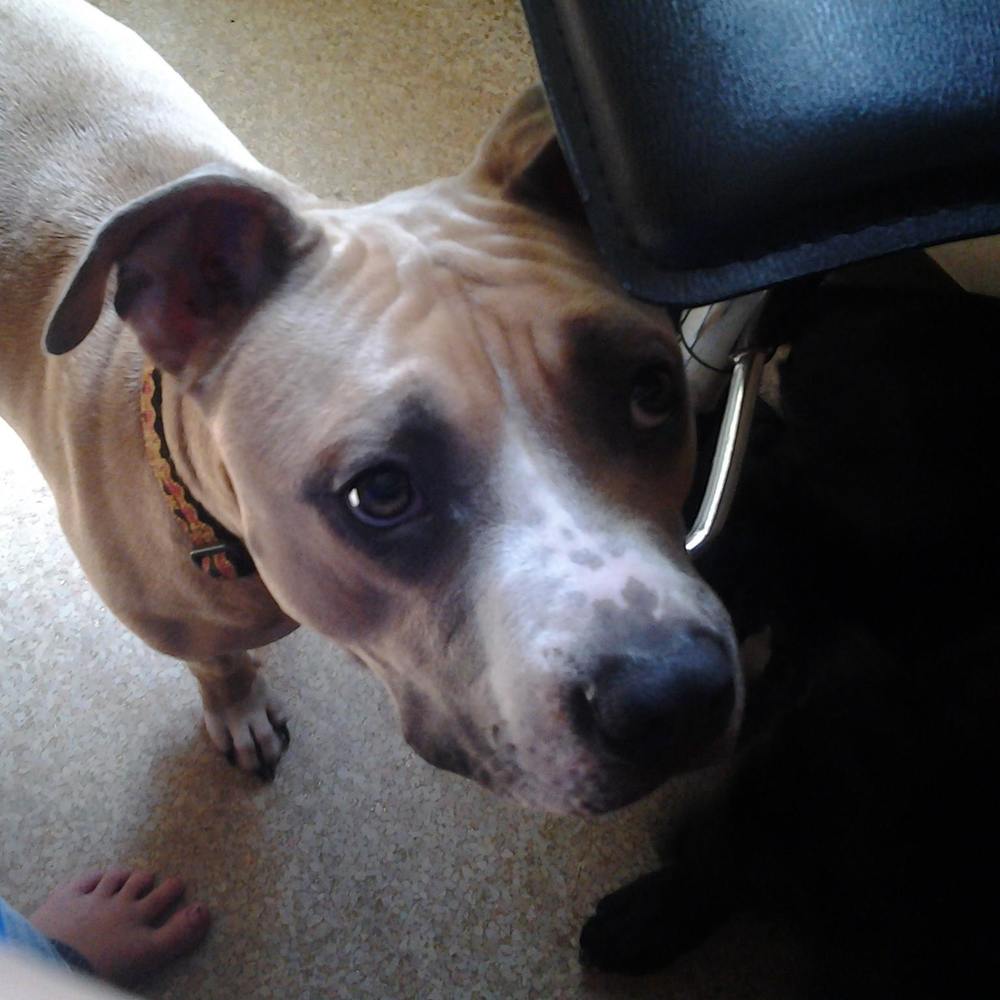 Meet your Posher, Audrey